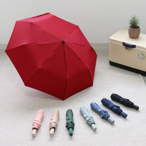 인블룸 투데이 컬러풀 우산